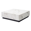 ACME Fritzy Contemporary Wood Square Coffee Table in White Engineered Stone