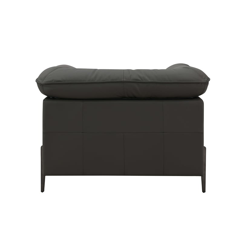 ACME Tadi Wood & Top Grain Leather Upholstered Chair with Metal Legs in Black