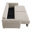 ACME Haran Fabric Upholstered Sofa with Queen Size Sleeper & 2 Pillows in Beige