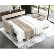 ACME Haran Fabric Upholstered Sofa with Queen Size Sleeper & 2 Pillows in Beige