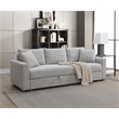 ACME Connie Fabric Upholstered Sofa with Sleeper and 2 Pillows in Beige