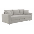 ACME Connie Fabric Upholstered Sofa with Sleeper and 2 Pillows in Beige