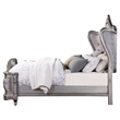 ACME Ariadne Queen Bed in Velvet & Antique Platinum