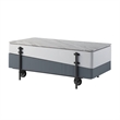 ACME Wilkins Coffee Table w/Lift Top in White & Gray High Gloss