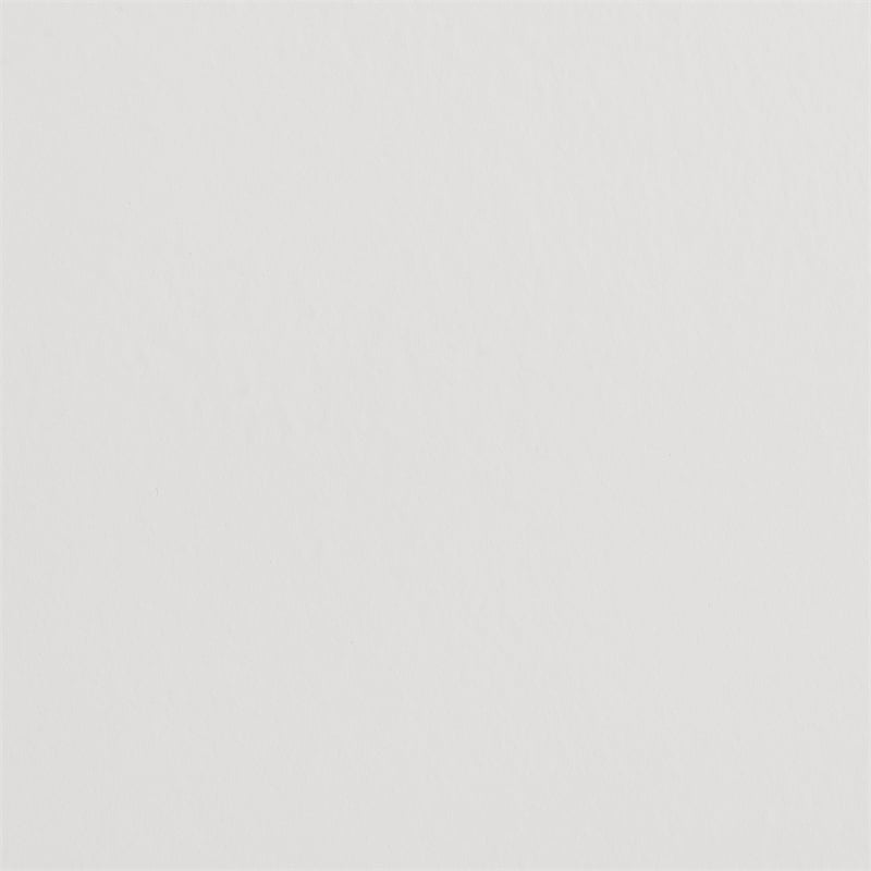 Picket House Furnishings Conaughey  Queen Panel Bed in White