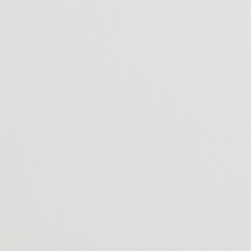 Picket House Furnishings Conaughey  Twin Panel Bed in White