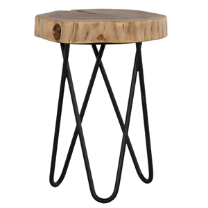 Primo International Colton Modern Wood and Metal Side Table in Brown