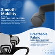 Sealy Jupiter Ergonomic Mesh Office Chair with Tilt