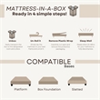Divine Queen Medium Gel Foam 8 in Mattress
