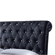 Castello Velvet Upholstered King Sleigh Bed in Black