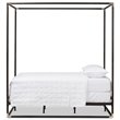Baxton Studio Eva Queen Metal Canopy Bed in Black