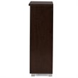 Baxton Studio Adalwin 2 Door Shoe Cabinet in Dark Brown