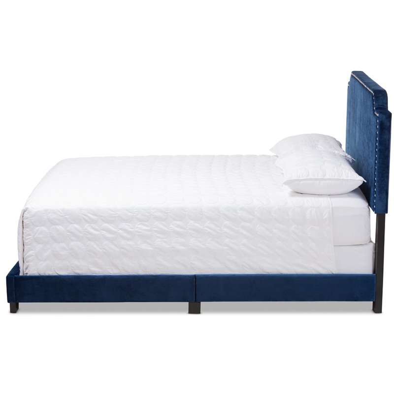 Baxton Studio Candace Velvet Nailhead Upholstered King Bed in Navy