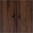 Baxton Studio Rossin Walnut Brown Finished 2-Door Wood Shoe Cabinet