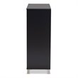 Baxton Studio Contemporary Shirley 2-Door Wood Shoe Cabinet in Dark Gray