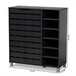 Baxton Studio Contemporary Shirley 2-Door Wood Shoe Cabinet in Dark Gray