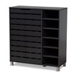 Baxton Studio Contemporary Shirley 2-Door Wood Shoe Cabinet in Dark Gray