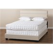 Baxton Studio Ansa Queen Size Beige Fabric Upholstered Bed