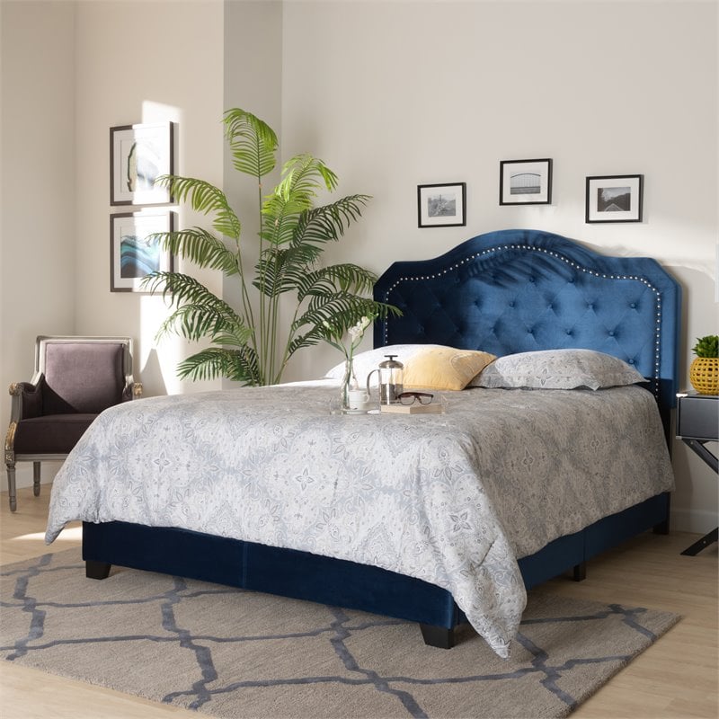Baxton Studio Samantha Queen Size Navy Blue Velvet Upholstered Button Tufted Bed