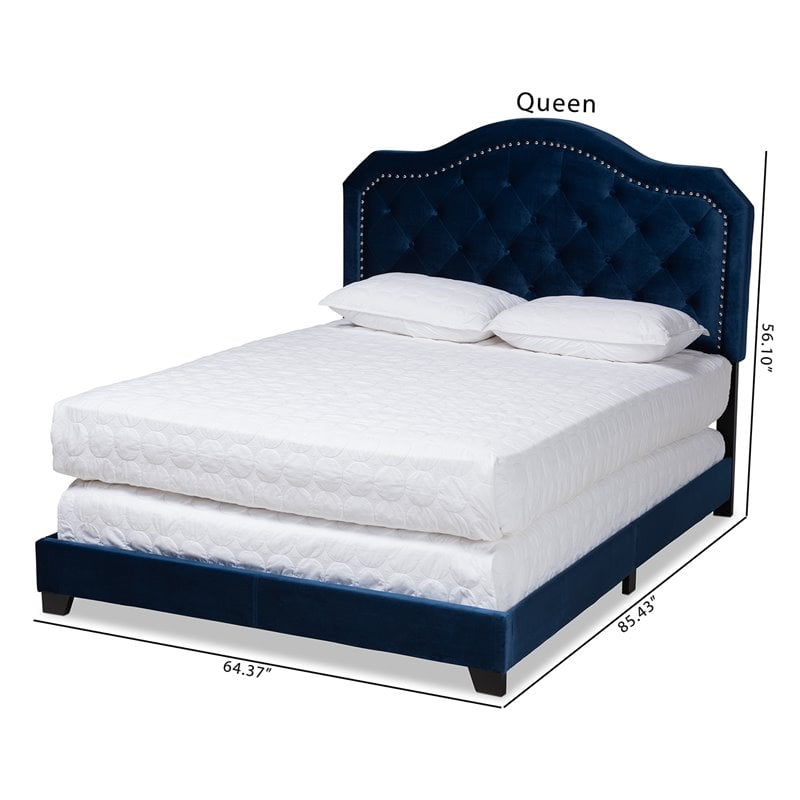 Baxton Studio Samantha Queen Size Navy Blue Velvet Upholstered Button Tufted Bed