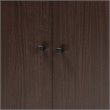 Baxton Studio Rossin Dark Brown Finished Wood 2-Door Entryway Shoe Cabinet