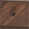 Baxton Studio Hartman Walnut Brown Finished Wood Coffee Table