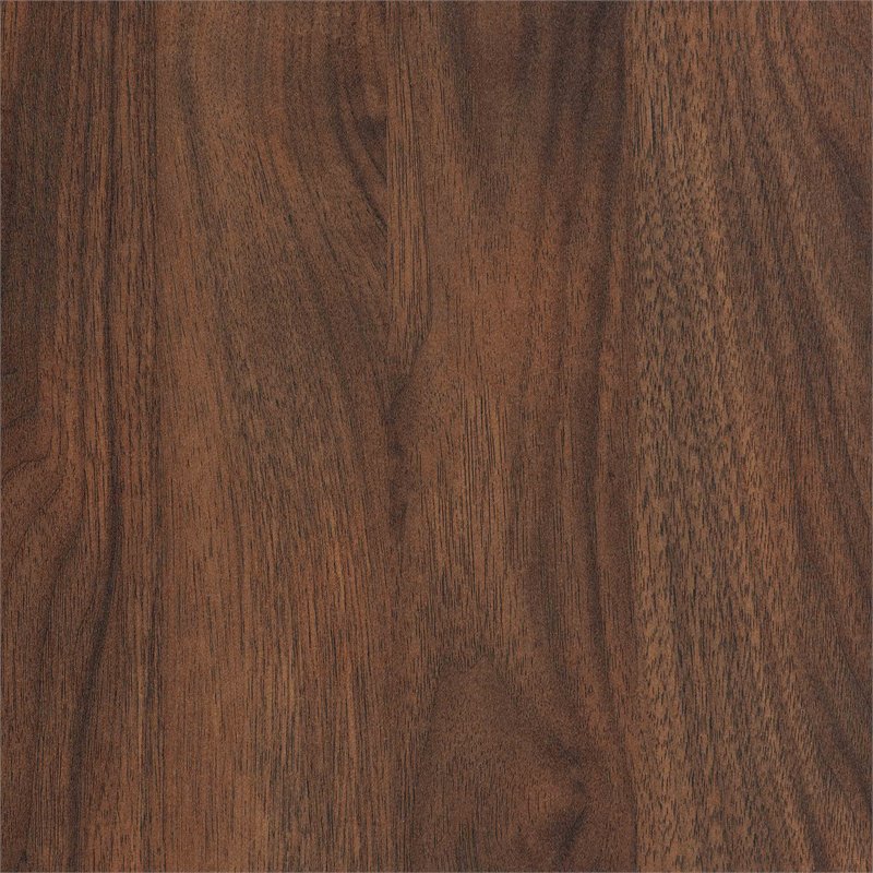 Baxton Studio Raina Brown and Black Finished Wood 2-Door Shoe Storage Cabinet