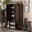 Baxton Studio Raina Brown and Black Finished Wood 2-Door Shoe Storage Cabinet