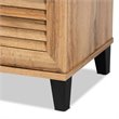 Baxton Studio Coolidge Oak Brown Finished Wood 2-Door Shoe Storage Cabinet