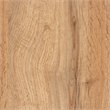 Baxton Studio Coolidge Oak Brown Finished Wood 2-Door Shoe Storage Cabinet