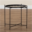 Baxton Studio Ivana Contemporary Black Metal Plant Stand
