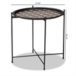 Baxton Studio Ivana Contemporary Black Metal Plant Stand