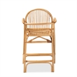 Baxton Studio Tugera Modern Bohemian Natural Brown Rattan Counter Stool