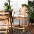 Baxton Studio Tugera Modern Bohemian Natural Brown Rattan Counter Stool