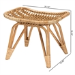 Baxton Studio Earvin Modern Bohemian Natural Brown Rattan Footstool