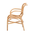 Baxton Studio Seminyak Rattan Lounge Chair with Round Armrests in Brown