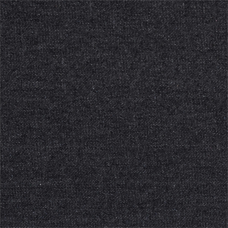 Baxton Studio Agatha Vintage Black Canvas 2-Drawer Storage Trunk