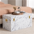 Baxton Studio Brenta Storage Trunk - Decorative Organizer Chest