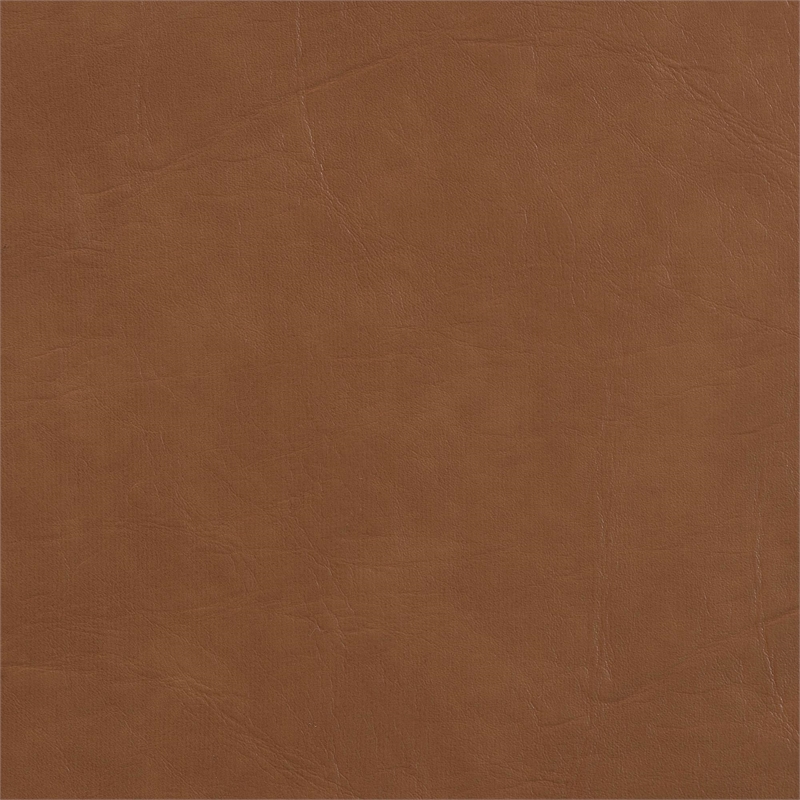 Baxton Studio Delacruz Swivel Dining Chair - Round Open Back Accent Chair