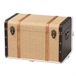 Baxton Studio Manton Storage Trunk Decorative Storage Chest with Hinged Top