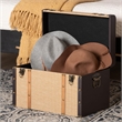 Baxton Studio Manton Storage Trunk Decorative Storage Chest with Hinged Top