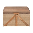 Baxton Studio Kande Storage Trunk Decorative Storage Chest with Hinged Top