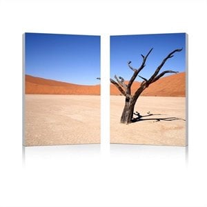 Desert Solitude Mounted Print Diptych in Multicolor