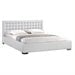 Queen Size
