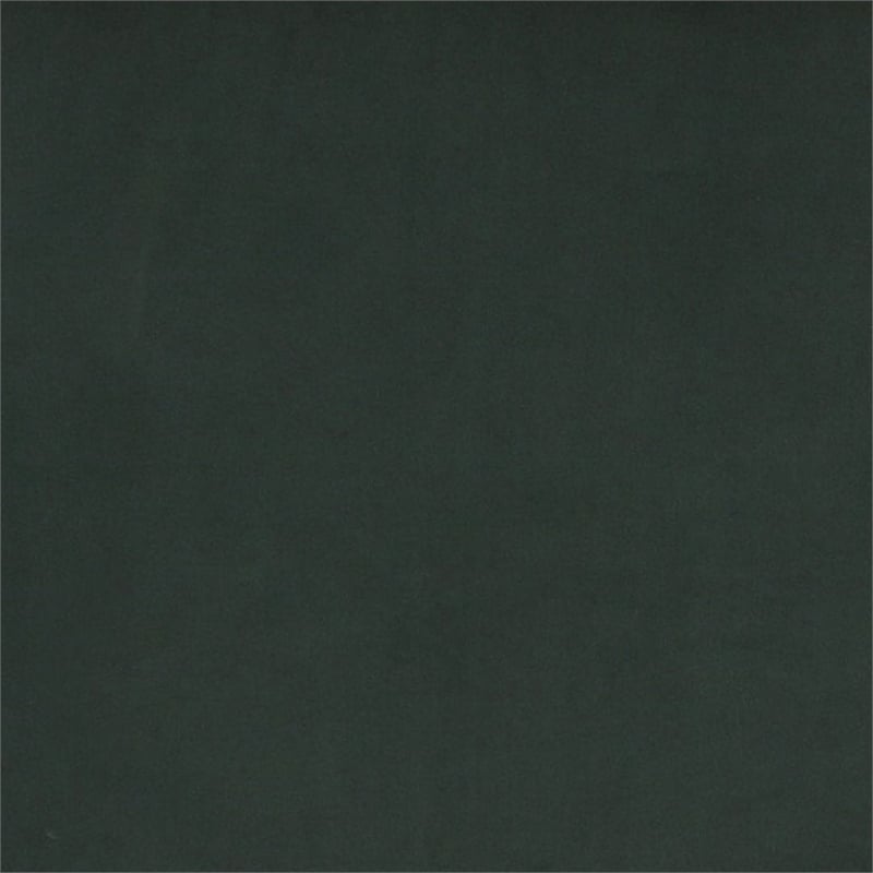 Manhattan Comfort Paramount Velvet Accent Armchair in Green/Polished Brass