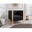 Manhattan Comfort Trillium Velvet Accent Chair in Black/Gold (Set of 2)