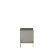 Manhattan Comfort Jasper Engineered Wood Nightstand in Gray Gloss/Gold
