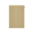Grace Modern 54 Home Office Desk with 2 Drawers in Natural Oak and Black