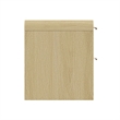 Grace Modern Nightstand with 2 Drawers in Natural Oak and Gold