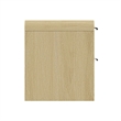 Grace Modern Nightstand with 2 Drawers in Natural Oak and Black